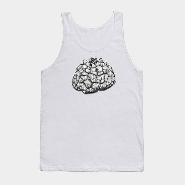 Dioscorea Elephantipes Caudex Tank Top by Cactee